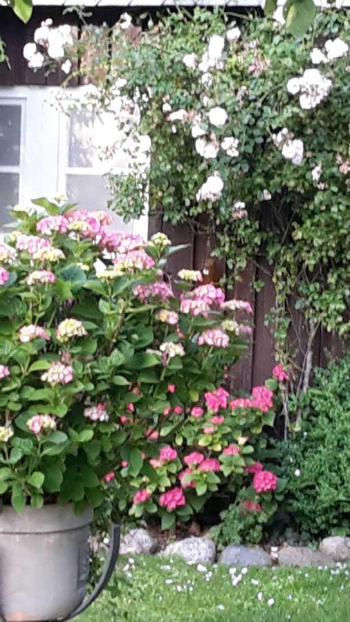 Schoene Ferienwohnung Im Alten Gasthaus In Stoltebuell Dış mekan fotoğraf